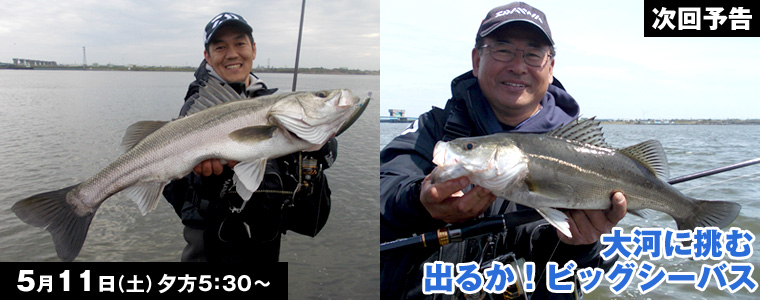 大河に挑む 出るか！ビッグシーバス