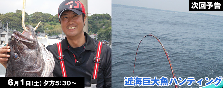 近海巨大魚ハンティング