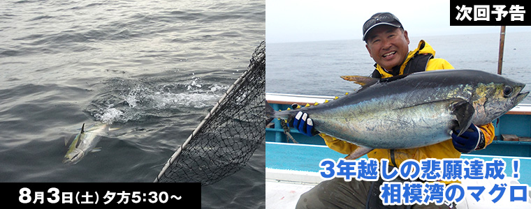 3年越しの悲願達成！相模湾のマグロ
