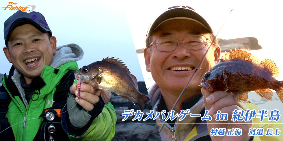 デカメバルゲームin紀伊半島
