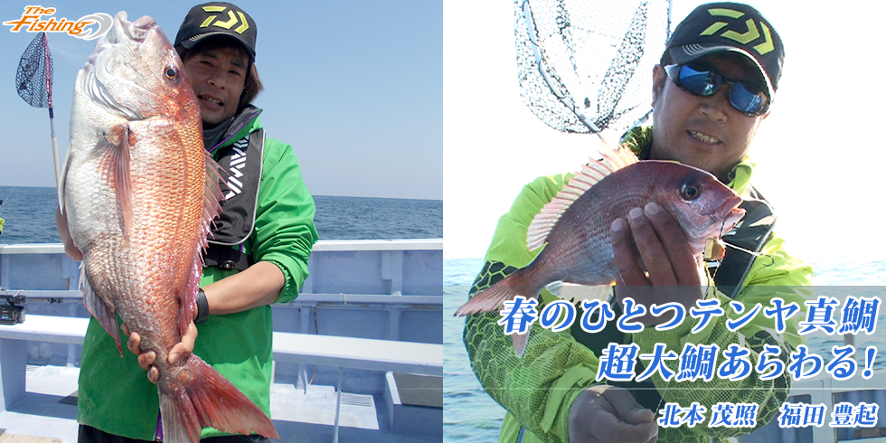 春のひとつテンヤ真鯛 超大鯛あらわる！
