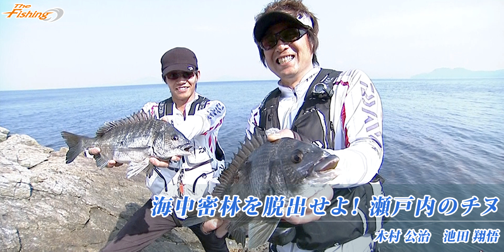 海中密林を脱出せよ！瀬戸内のチヌ