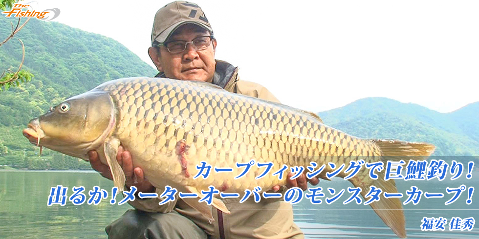 カープフィッシングで巨鯉釣り！出るか！メーターオーバーのモンスターカープ！