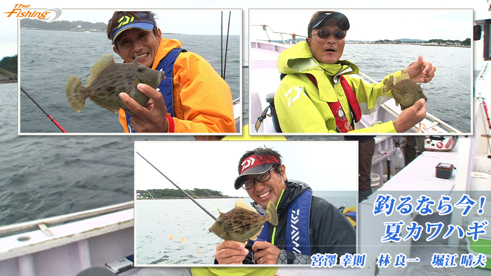 釣るなら今！夏カワハギ
