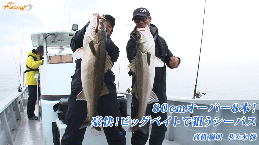 80cmオーバー8本！豪快！ビッグベイトで狙うシーバス
