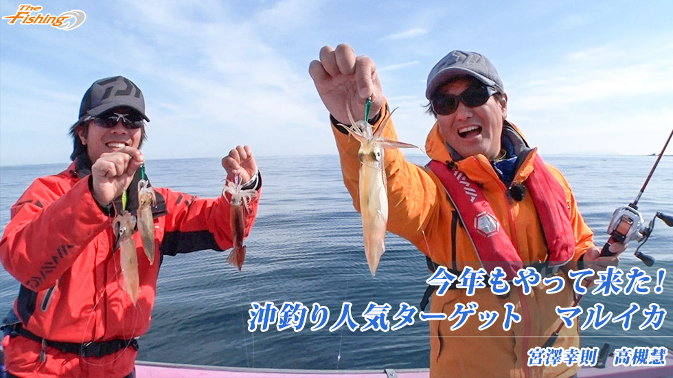 今年もやって来た！沖釣り人気ターゲット マルイカ