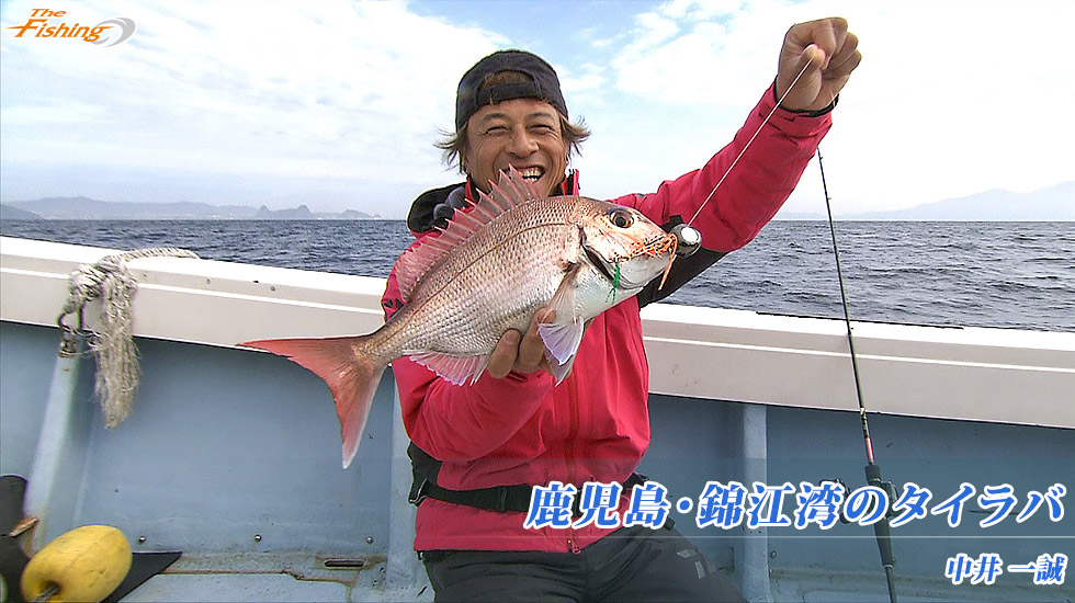 鹿児島・錦江湾のタイラバ