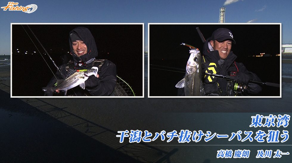 東京湾 干潟とバチ抜けシーバスを狙う