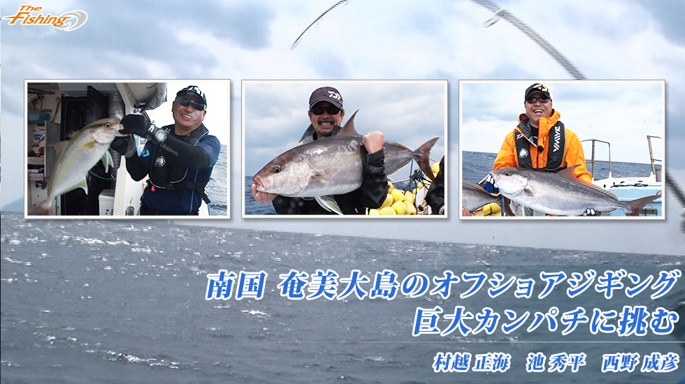 南国 奄美大島のオフショアジギング 巨大カンパチに挑む