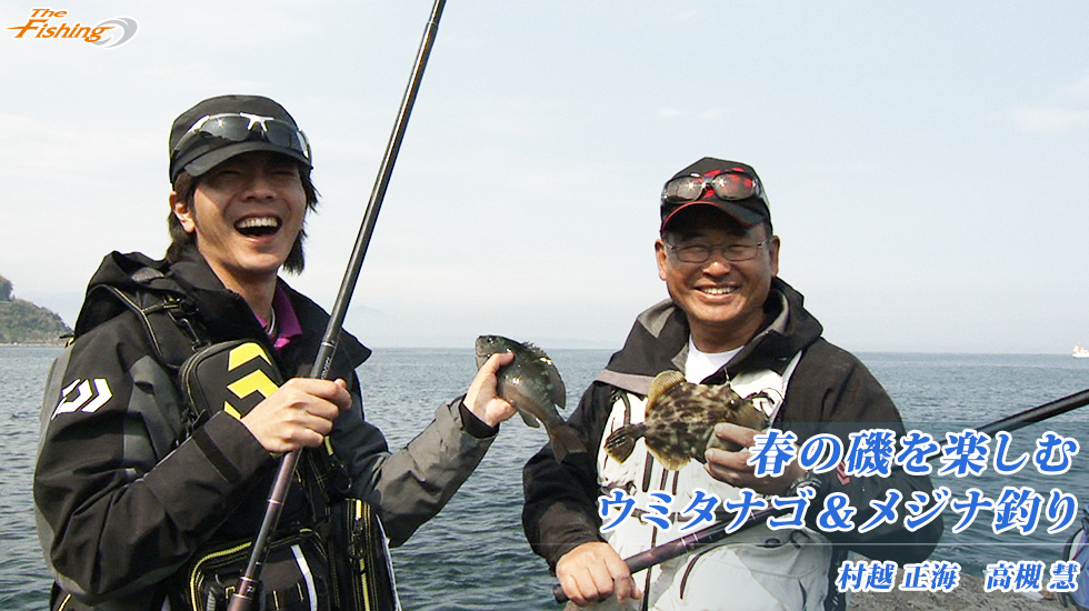春の磯を楽しむウミタナゴ＆メジナ釣り