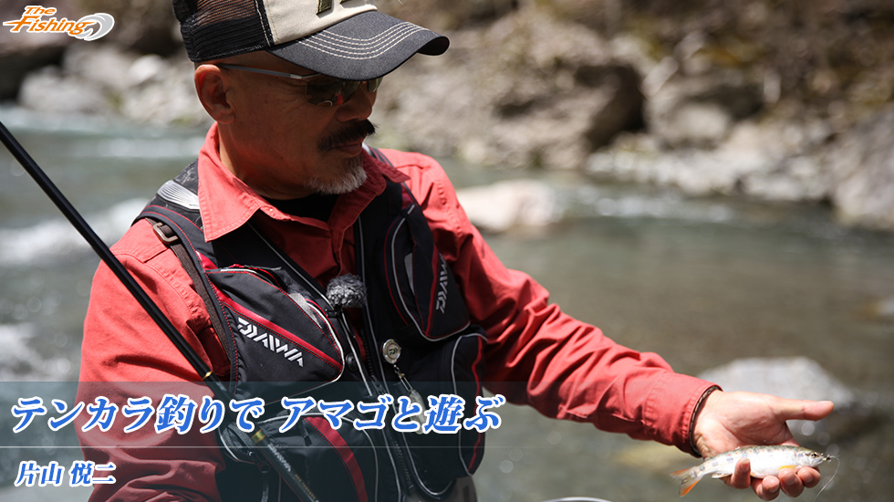 テンカラ釣りで アマゴと遊ぶ