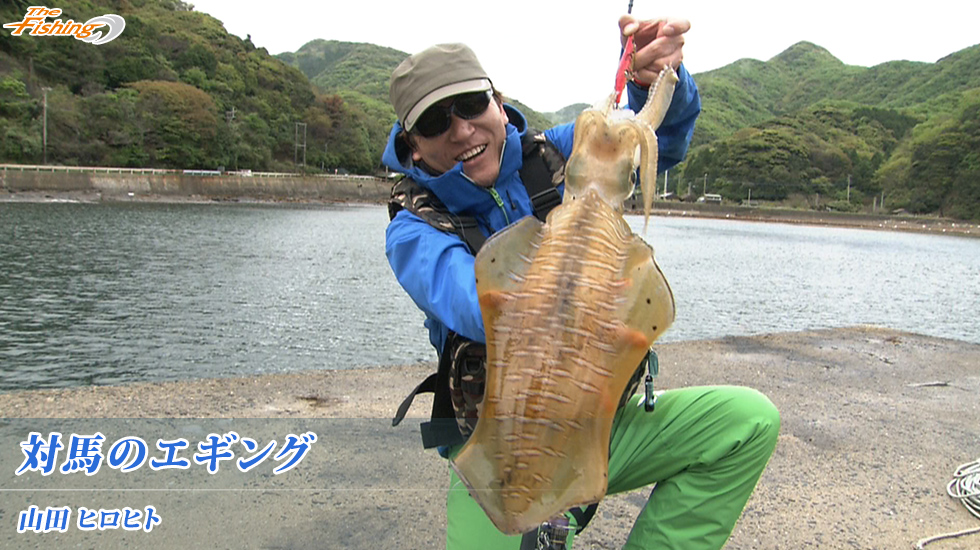 対馬のエギング