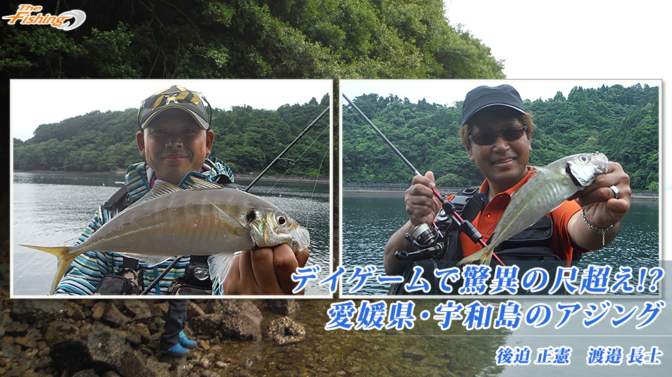 デイゲームで驚異の尺超え!？愛媛県・宇和島のアジング