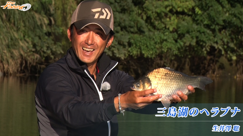 三島湖のヘラブナ