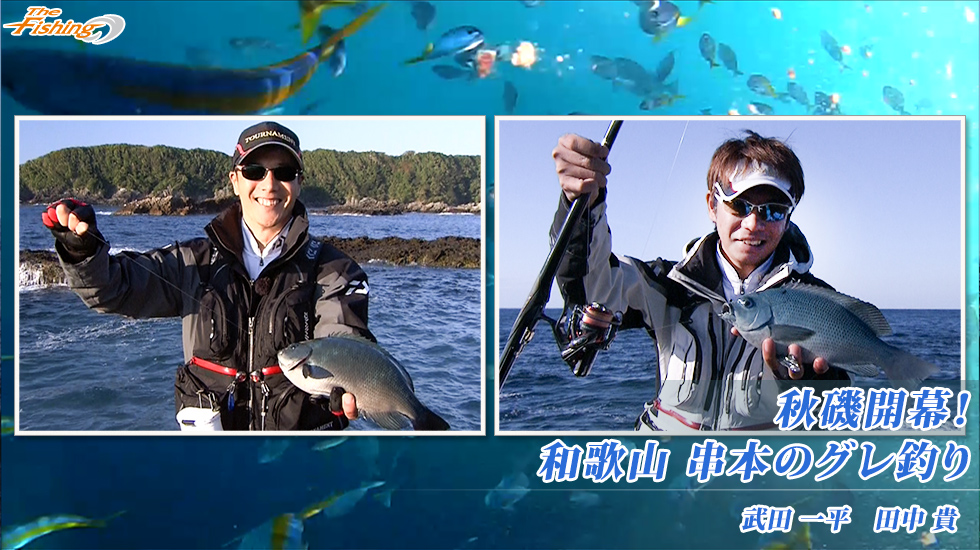 秋磯開幕！和歌山 串本のグレ釣り