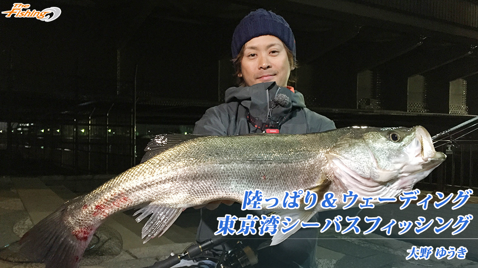 陸っぱり＆ウェーディング 東京湾シーバスフィッシング
