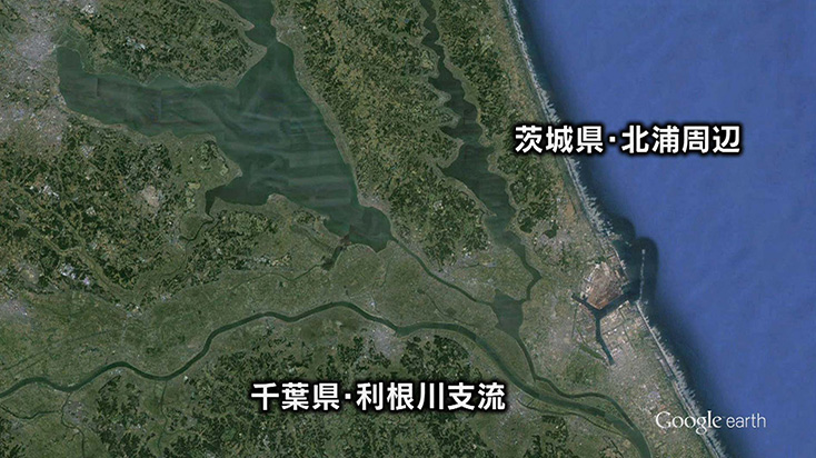 釣り場所の地図