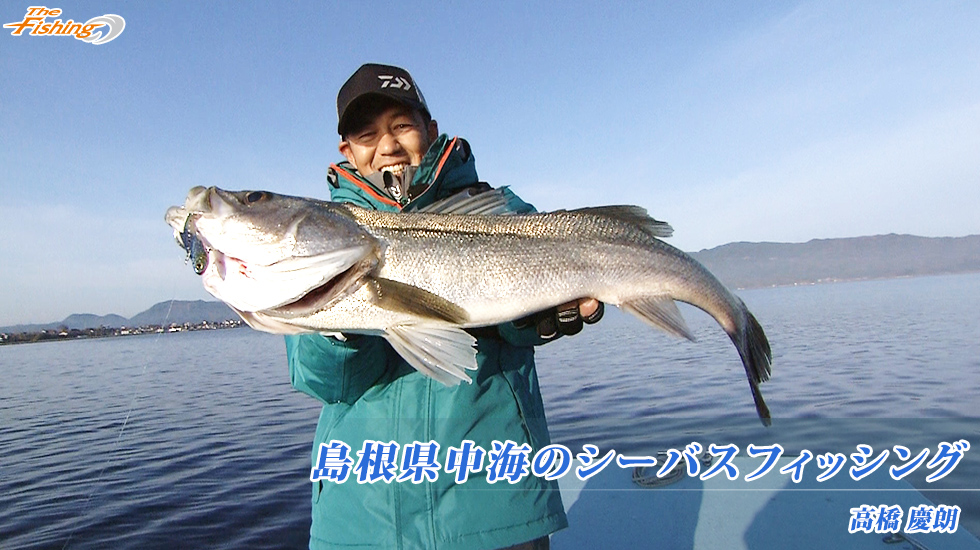 島根県中海のシーバスフィッシング