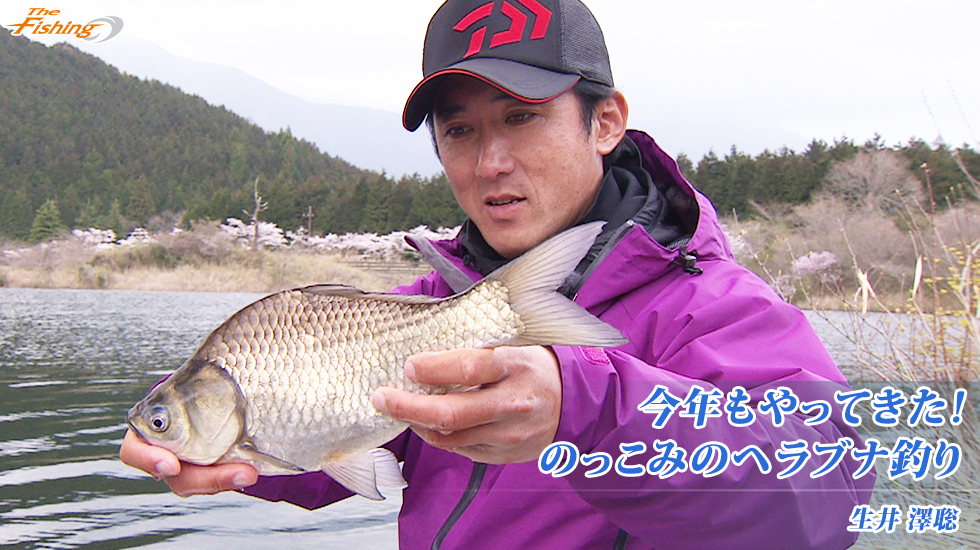 今年もやってきた！のっこみのヘラブナ釣り