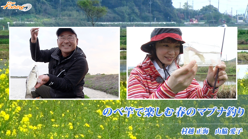 のべ竿で楽しむ春のマブナ釣り