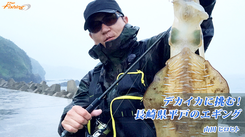 デカイカに挑む！長崎県平戸のエギング