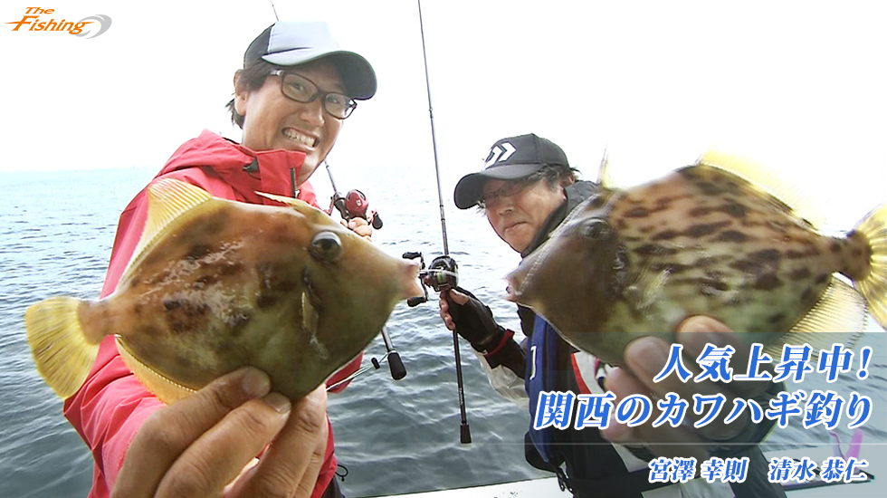 人気上昇中！関西のカワハギ釣り
