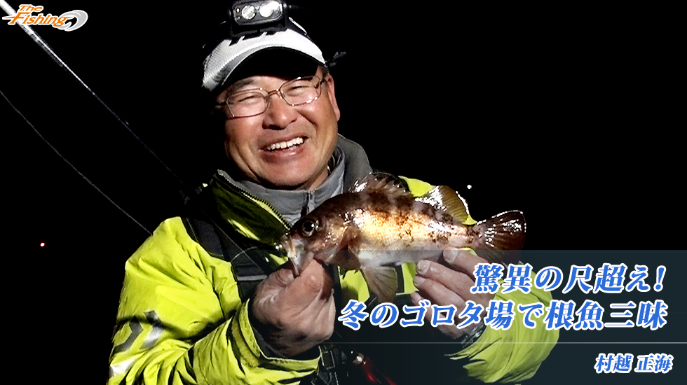 驚異の尺超え！冬のゴロタ場で根魚三昧