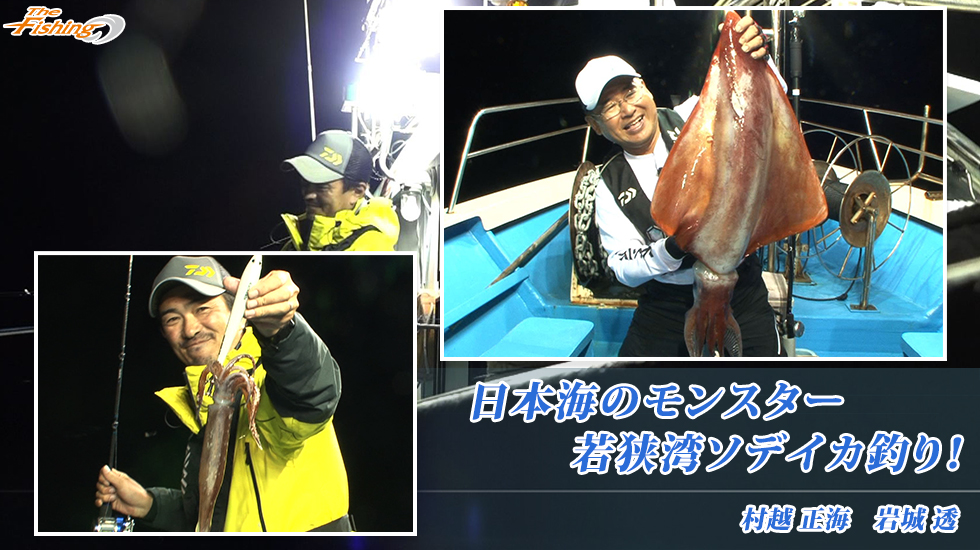日本海のモンスター若狭湾ソデイカ釣り！