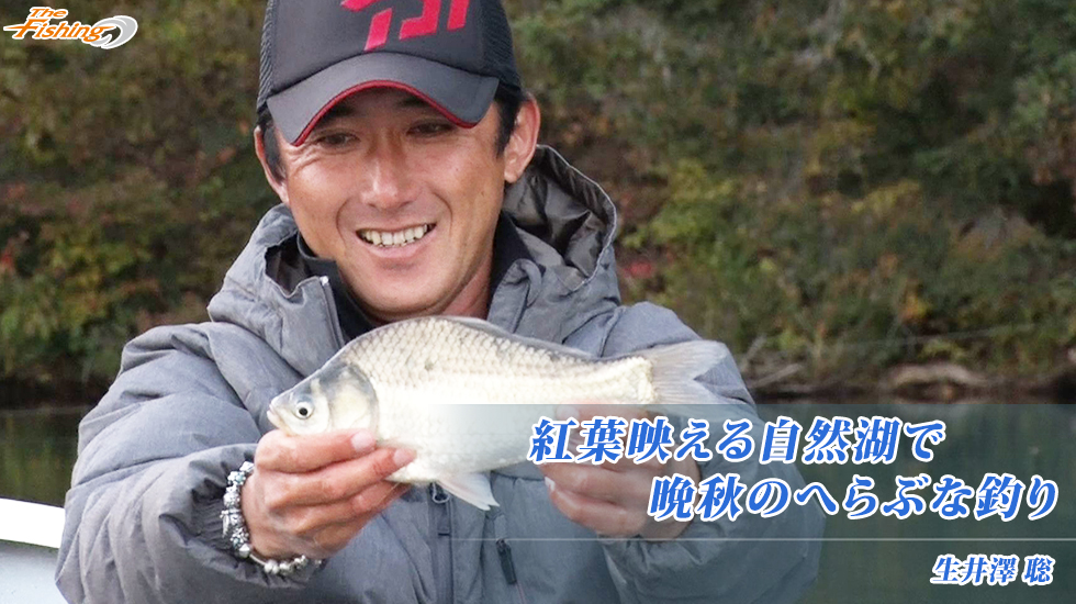 紅葉映える自然湖で晩秋のへらぶな釣り