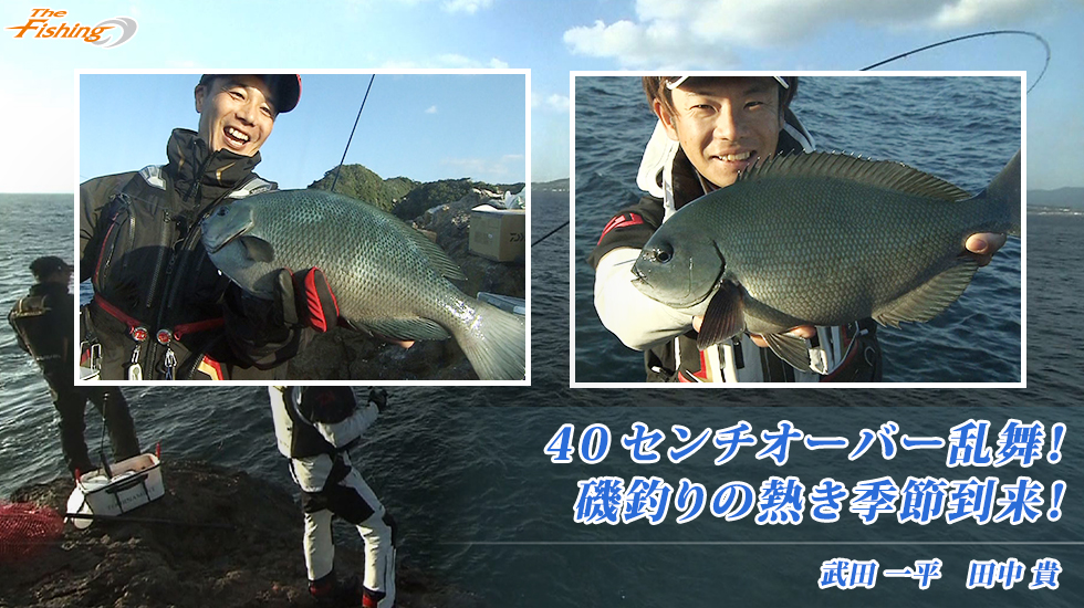 40センチオーバー乱舞！磯釣りの熱き季節到来！