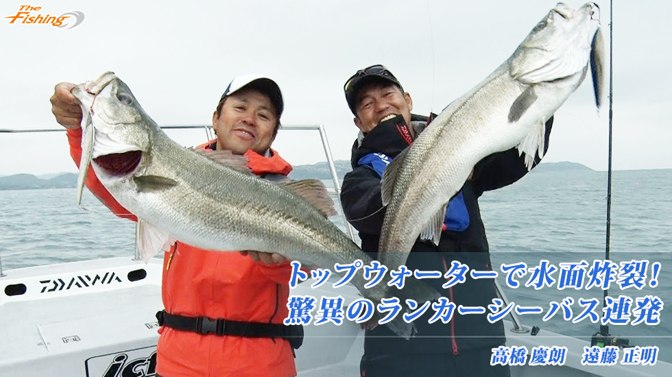 トップウォーターで水面炸裂！驚異のランカーシーバス連発