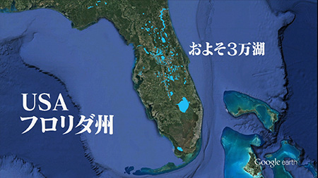 釣り場所の地図