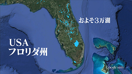 釣り場所の地図