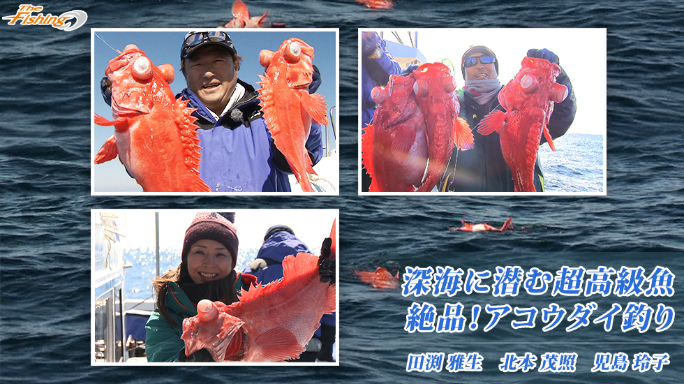 深海に潜む超高級魚 絶品！アコウダイ釣り
