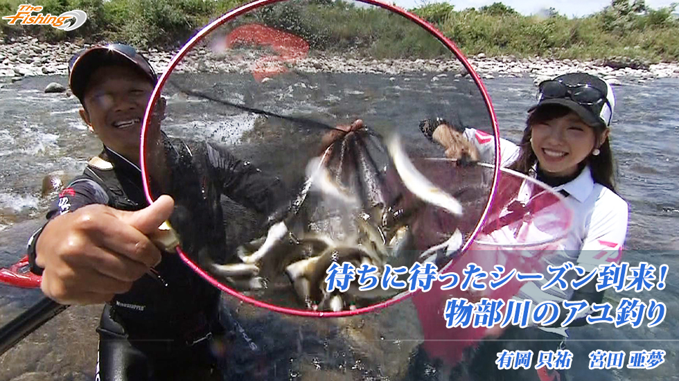 待ちに待ったシーズン到来！物部川のアユ釣り