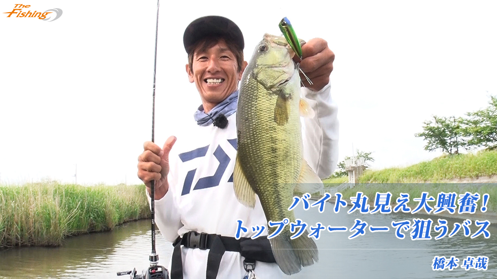バイト丸見え大興奮！トップウォーターで狙うバス