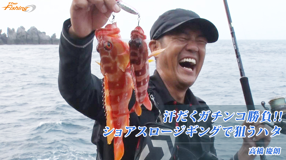 汗だくガチンコ勝負!!ショアスロージギングで狙うハタ