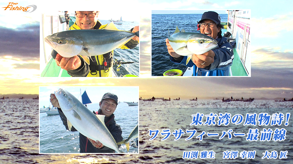東京湾の風物詩!ワラサフィーバー最前線