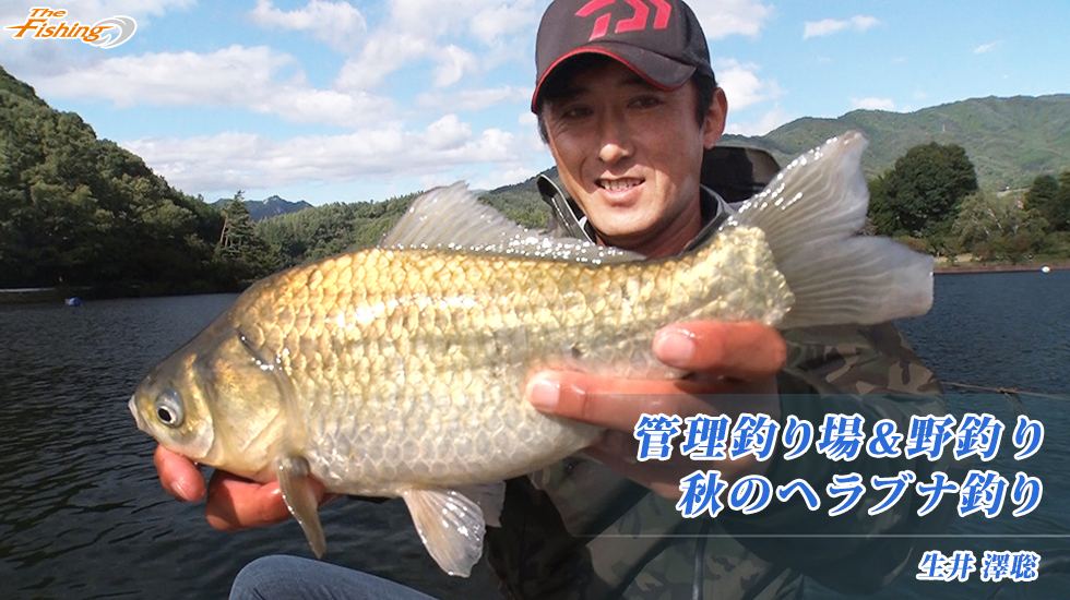 管理釣り場&amp;野釣り秋のヘラブナ釣り