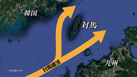 釣り場所の地図