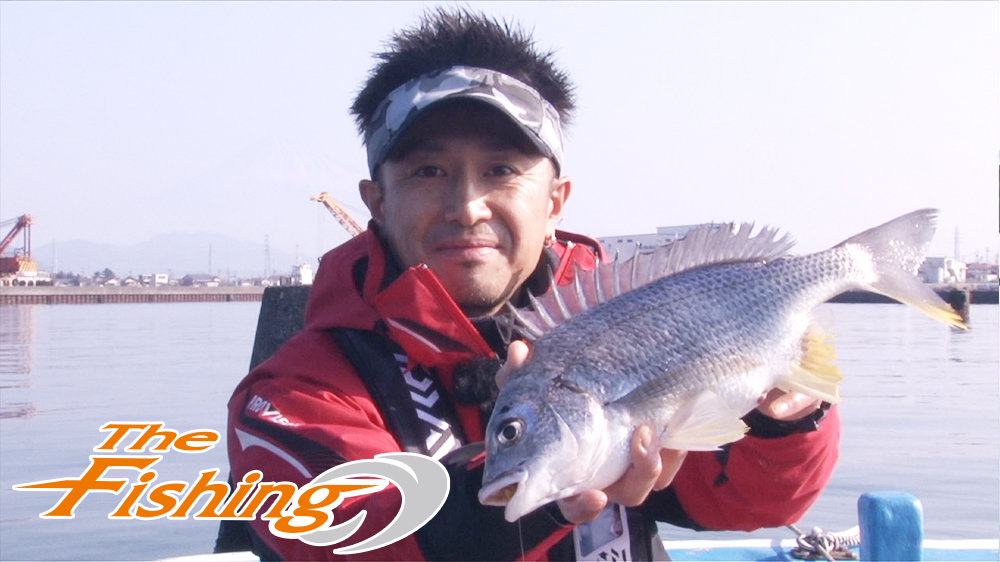 ダンゴ釣りの世界 静岡 清水港で狙うクロダイ