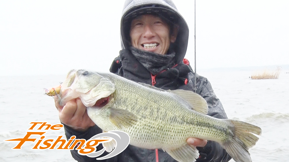 狙え！春のデカバス！霞ヶ浦の陸っぱりバスフィッシング