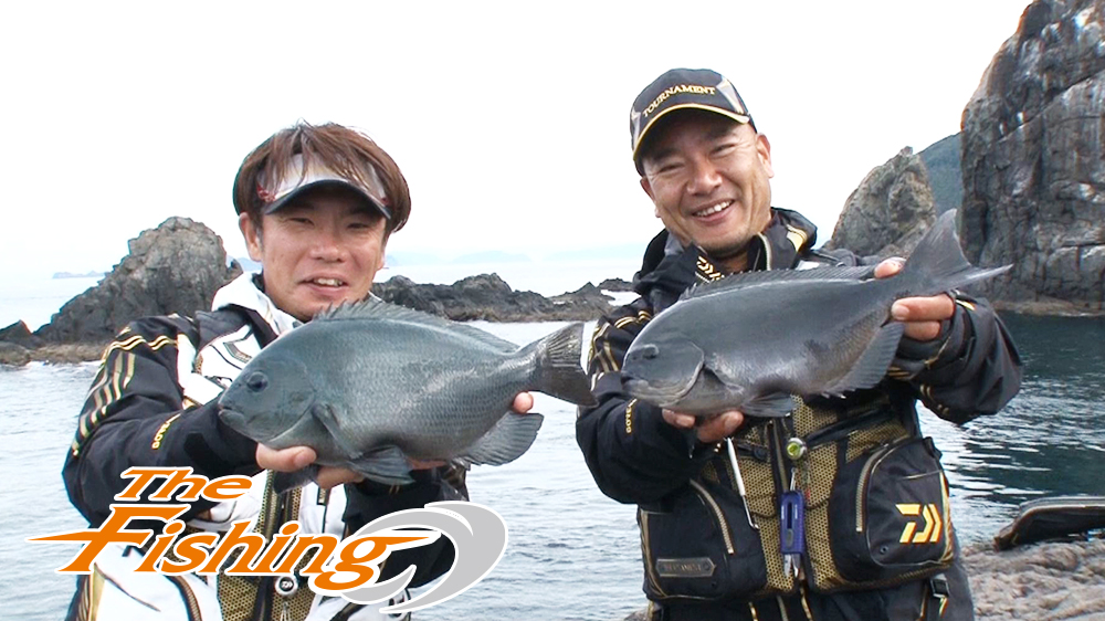 秋磯シーズン開幕！愛媛 グレ釣り