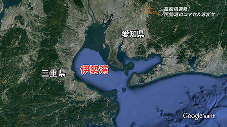 釣り場所の地図