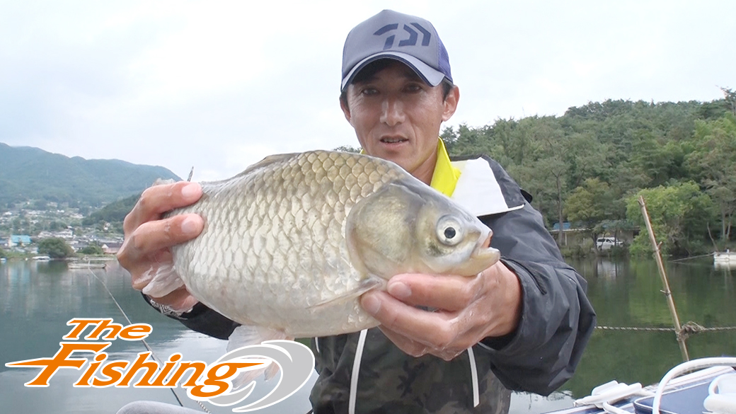 最高の1枚を求めて秋のヘラブナ釣り