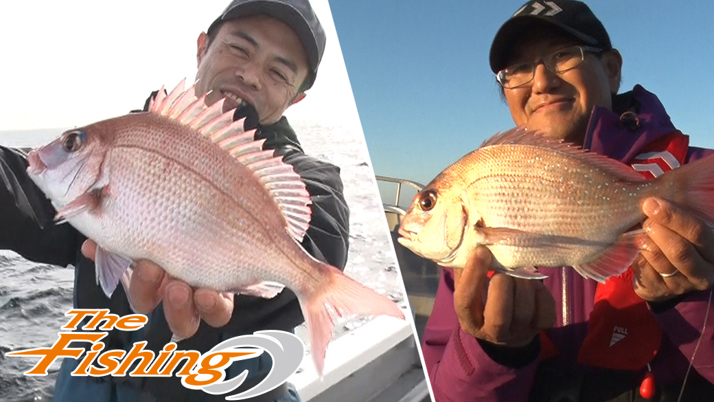 釣りタイ!食べタイ! 一足お先におめでタイ!ライトマダイ