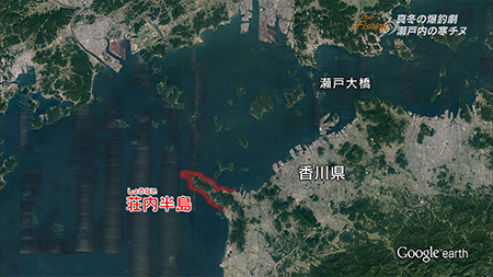 釣り場所の地図