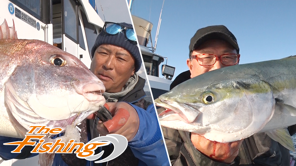 エサは極上ヤリイカ ド迫力！ハモノ狙い