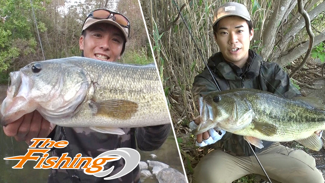 出るか！50cmオーバー！！陸っぱり 春のバスフィッシング
