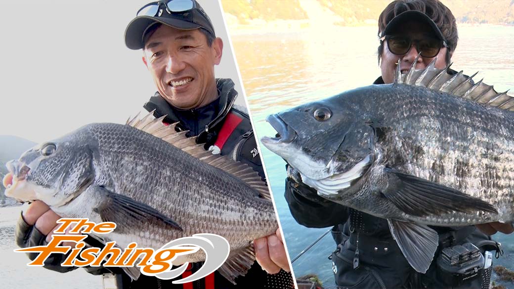 50cm超ラッシュ！！焦らしてサソえ 春の大チヌ